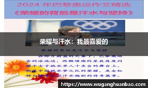 荣耀与汗水：我最喜爱的