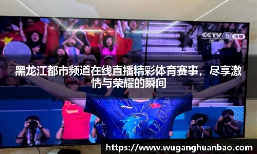 黑龙江都市频道在线直播精彩体育赛事，尽享激情与荣耀的瞬间