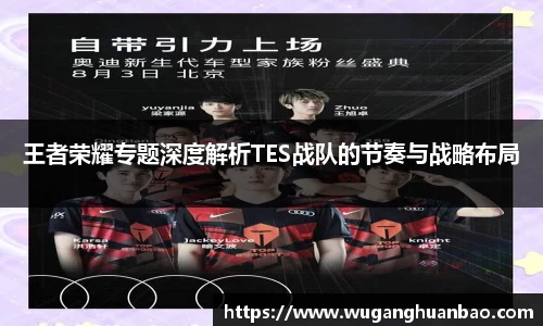 王者荣耀专题深度解析TES战队的节奏与战略布局