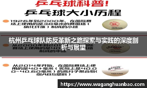杭州乒乓球队防反革新之路探索与实践的深度剖析与展望