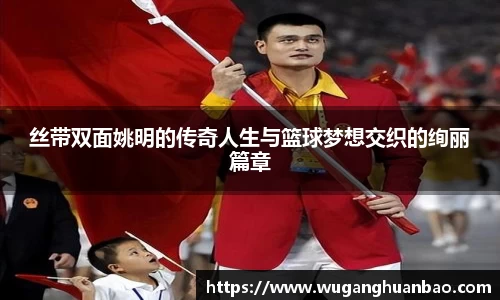 丝带双面姚明的传奇人生与篮球梦想交织的绚丽篇章