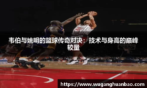 韦伯与姚明的篮球传奇对决：技术与身高的巅峰较量