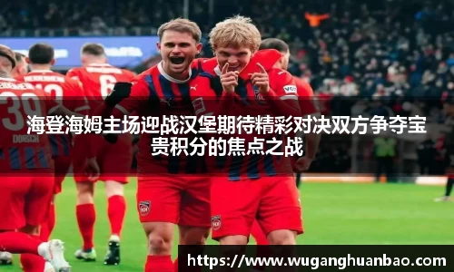 海登海姆主场迎战汉堡期待精彩对决双方争夺宝贵积分的焦点之战