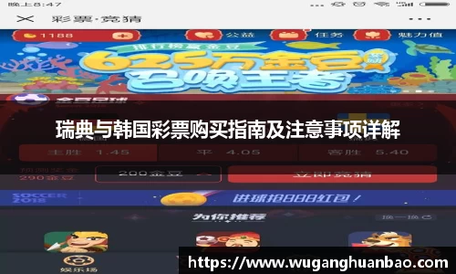 瑞典与韩国彩票购买指南及注意事项详解